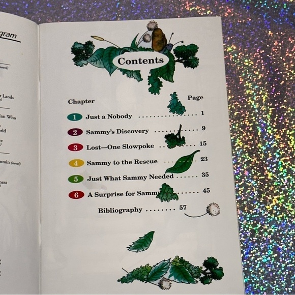 ABEKA Homeschool NO LONGER A NOBODY Reading Book 2nd Grade Chapter Book - Picture 8 of 9